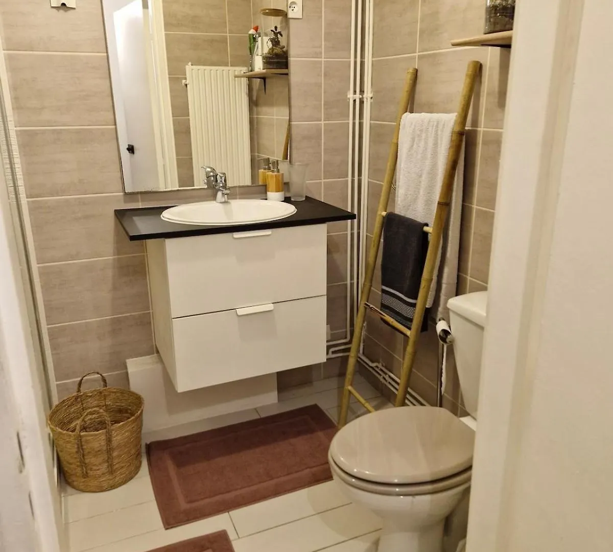 Bel Appartement Parisien